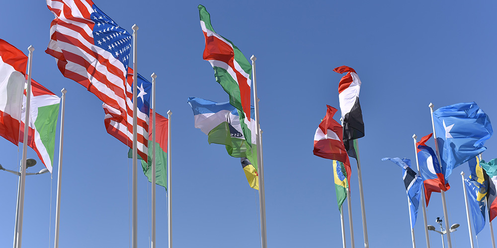 Various waving flags.