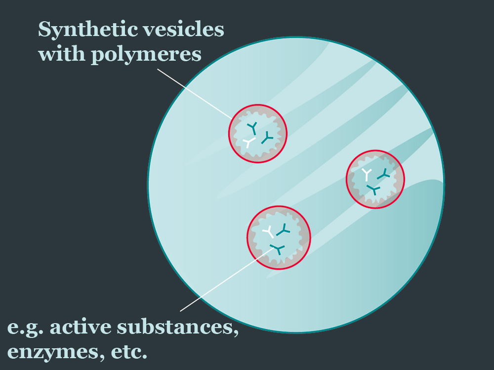 illustration of synthetic membrane vesicles illustration of synthetic membrane vesicles