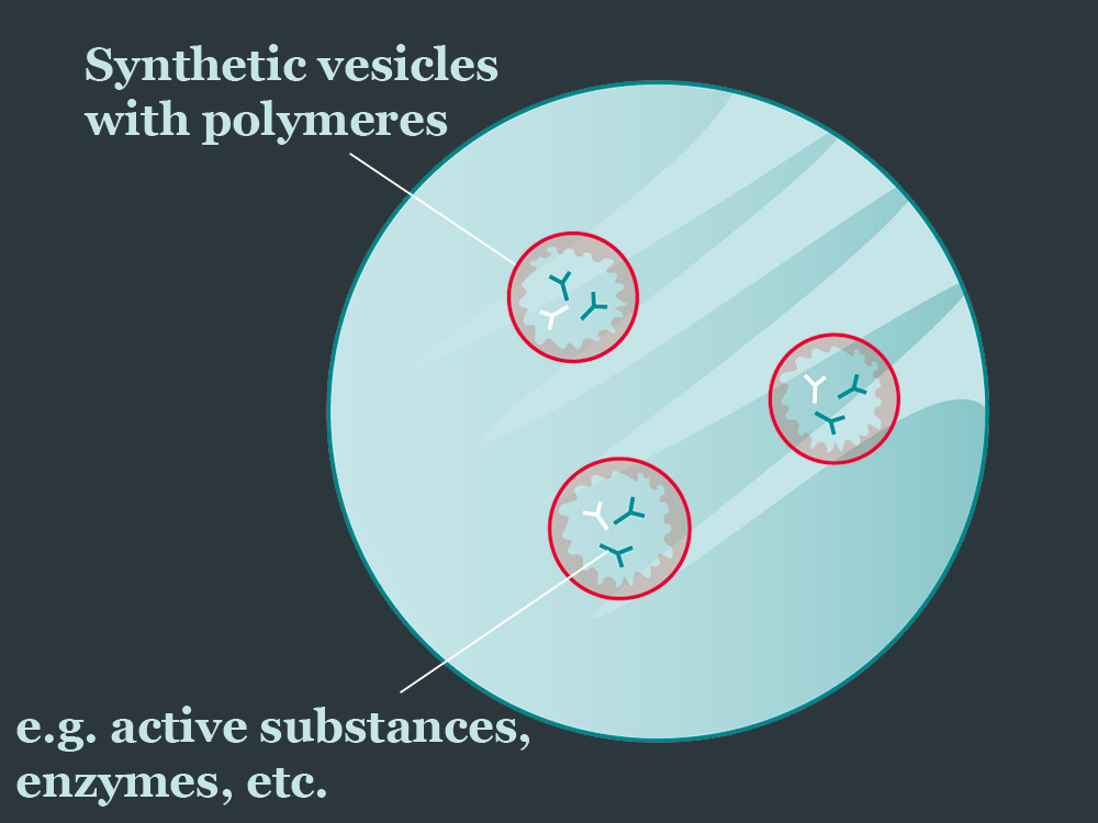 illustration of synthetic membrane vesicles