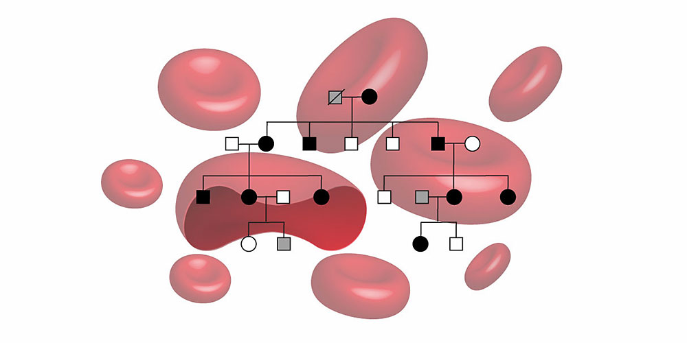 Inheritance of the familial erythrocytosis. (Image: University of Basel, Department of Biomedicine)