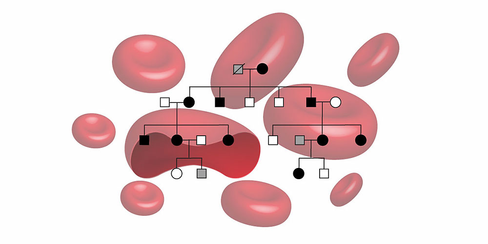 Inherited mutation leads to overproduction of EPO