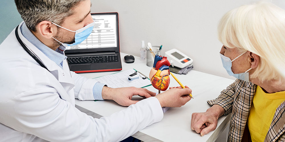 Ein Arzt zeigt einer älteren Patientin an einem Modell die Anatomie des Herzens.