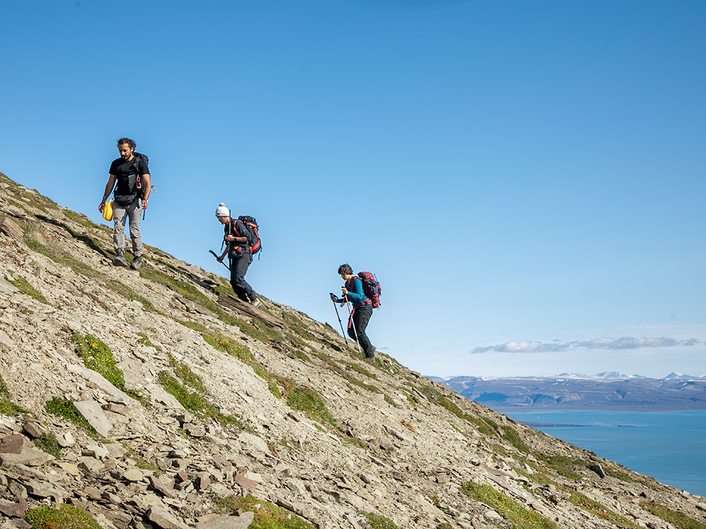 The team systematically walks slopes to survey the spread of plant species. The team systematically walks slopes to survey the spread of plant species.