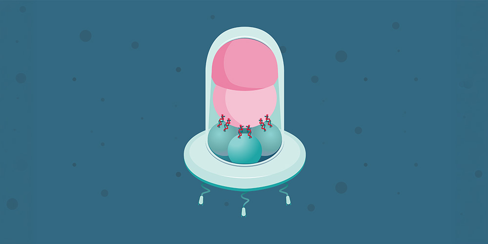 Like a miniature lunar rocket: Researchers develop modular nanorobot