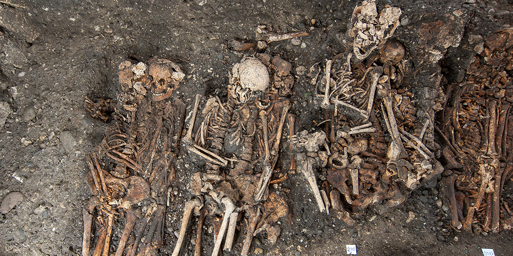 Plague outbreaks in the Early Modern period hit working youths the hardest 