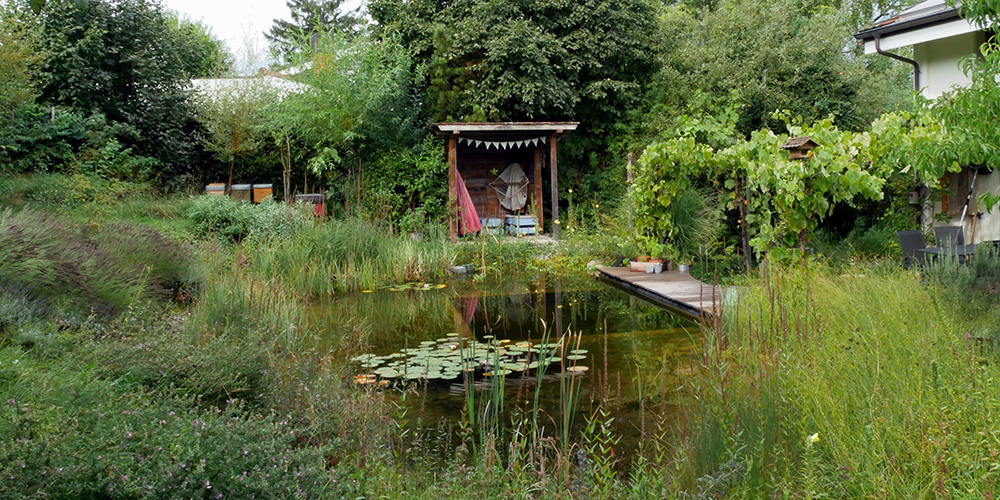 View over the bathing pond in Philippe Ammann's nature garden. 