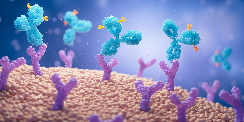 Individual genetic differences render some therapies ineffective