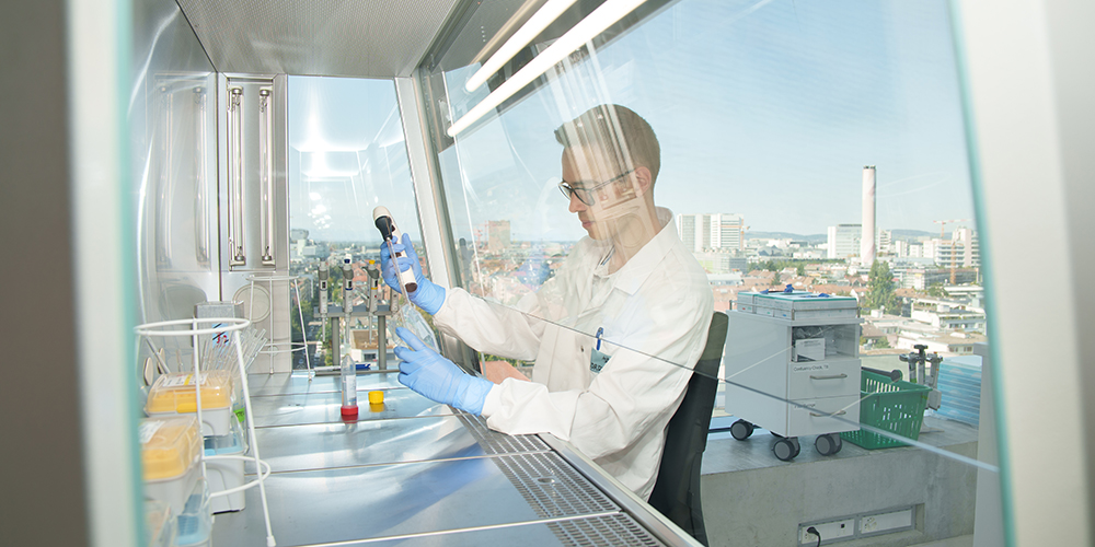 Biozentrum Research Summer: Studierende forschen über den Dächern Basels