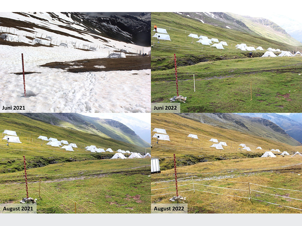 Webcam Aufnahmen vom Juni 2021 mit Schnee, August 2021 mit grünen Berghängen, Juni 2022 bereits grün, August 2022 dann schon braun.