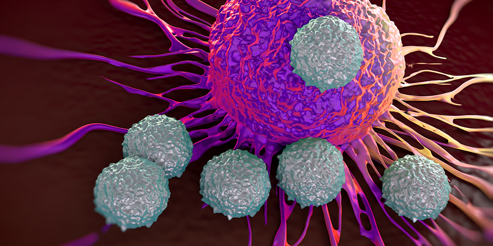 T-Zellen attackieren eine Tumorzelle