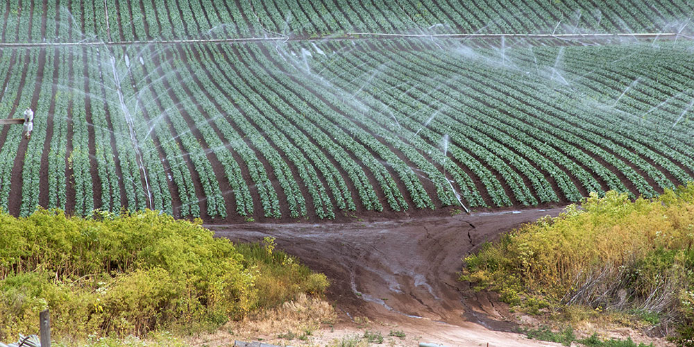 Klimawandel und Landnutzung beschleunigen die Bodenerosion durch Wasser