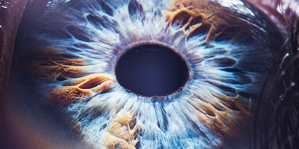 Closeup of a retina