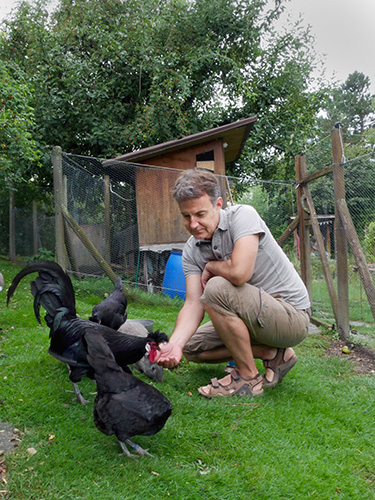 Philippe Ammann with chickens. Philippe Ammann with chickens.