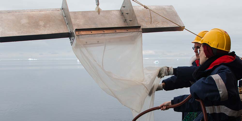 The researchers are rinsing the plankton net before sampling.