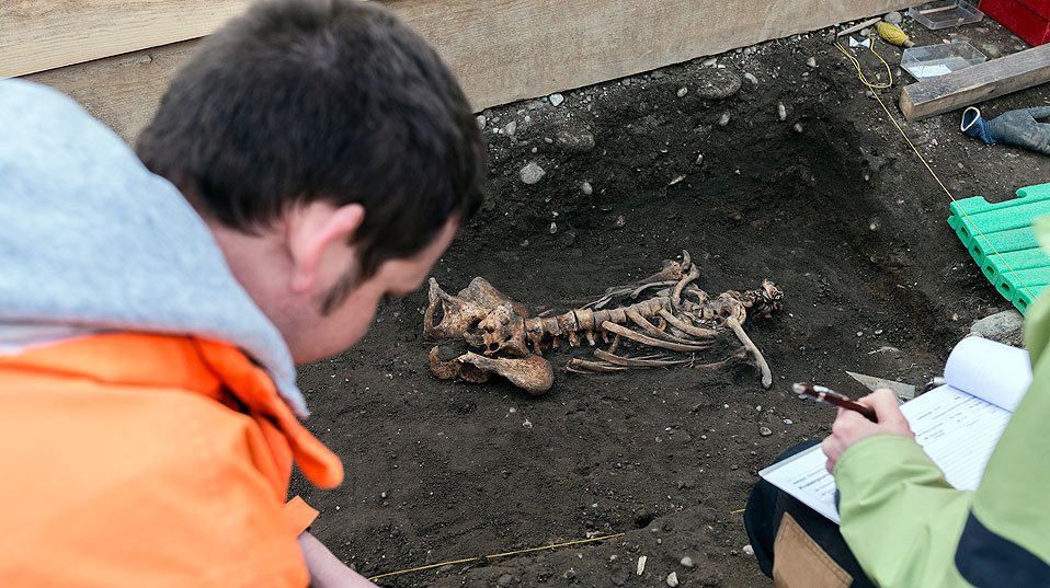 Jeder Knochen wird sorgfältig geborgen. Hier wartet ein Thorax auf seine Bergung. (Foto: Universität Basel, Roland Schmid)