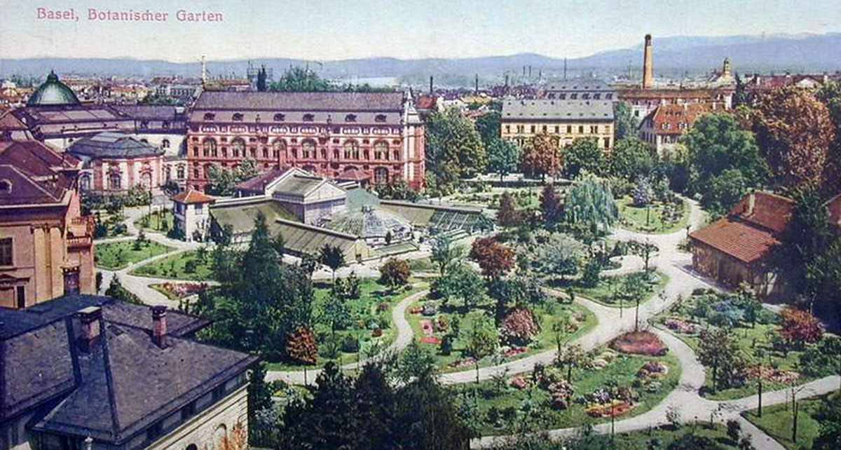 The botanical garden in a color postcard from 1905.