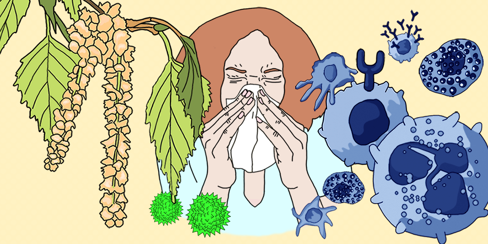 When the immune system fights back: online course on allergies 