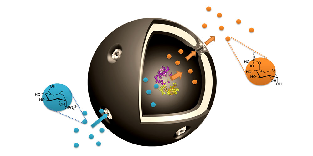 Nanocapsules Enable Cell-Inspired Metabolic Reactions 