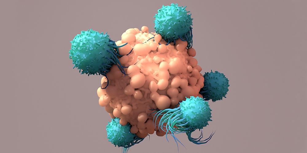 3D-Rendering von T-Zellen, die eine Krebszelle angreifen.