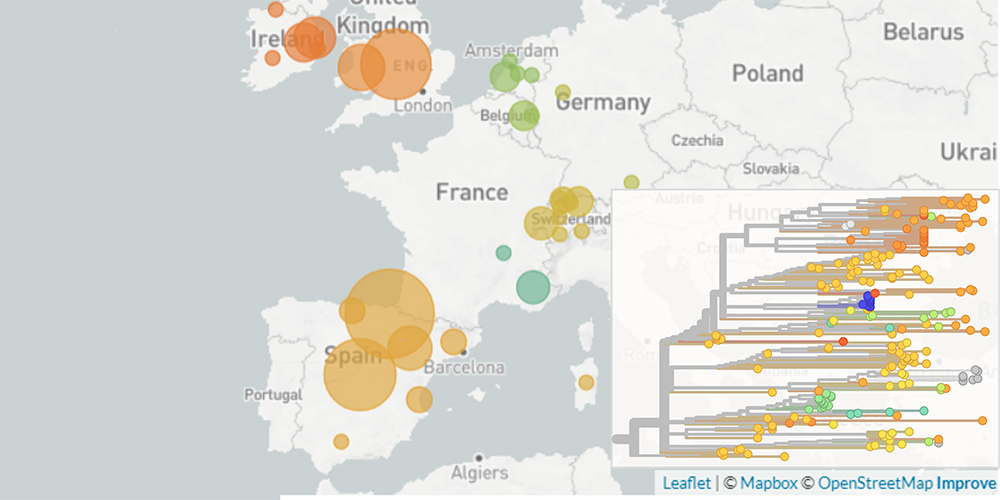 Die neue SARS-CoV-2-Variante 20A.EU1 hat sich in Europa weit verbreitet. Visualisierung der Anzahl Sequenzen (Durchmesser der Kreise), farblich nach Ländern kodiert. Unten rechts: Der «Stammbaum» der Sequenzen der neuen Variante (farbcodiert nach Ländern) zeigt an, dass 20A.EU1 mehrfach zwischen den Ländern gereist ist. (Visualisierung: Nextstrain, Mapbox, OpenStreetMap)