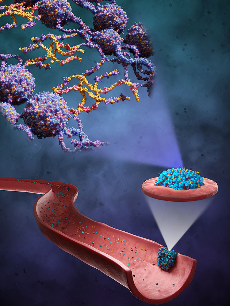 Speziell designte Makromoleküle verstärken den Blutpfropf, indem sie in das Netzwerk aus Fibrinfasern mit eingebaut werden. (Illustration: Universität Basel, Departement Chemie)