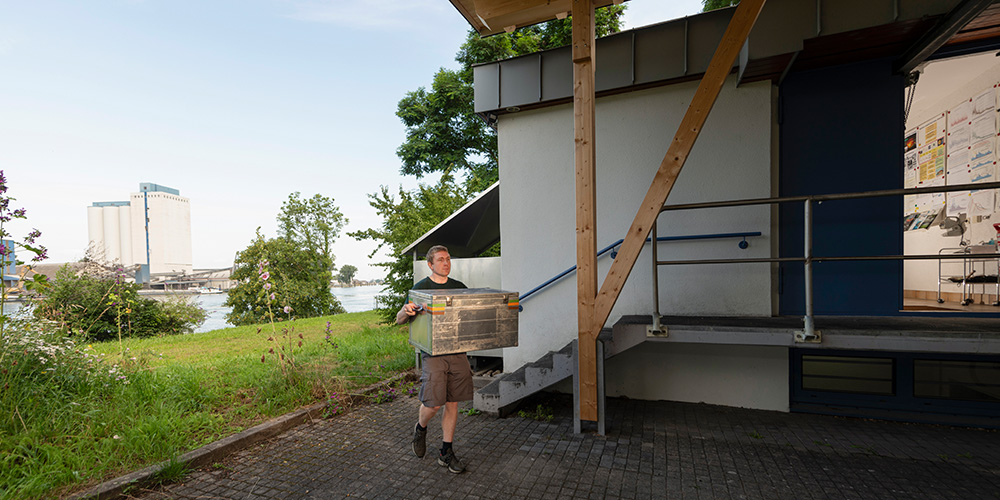 Sebastian Rieder transports the samples packed in plastic boxes to the laboratory Sebastian Rieder transports the samples packed in plastic boxes to the laboratory