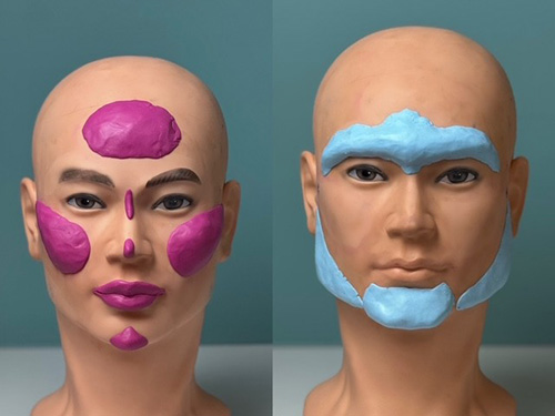 Modelle männliche und weibliche Gesichtsmerkmale Modelle männliche und weibliche Gesichtsmerkmale