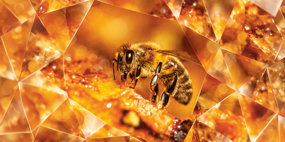 Sweet traditions: The meaning of honey and sweets in Judaism.