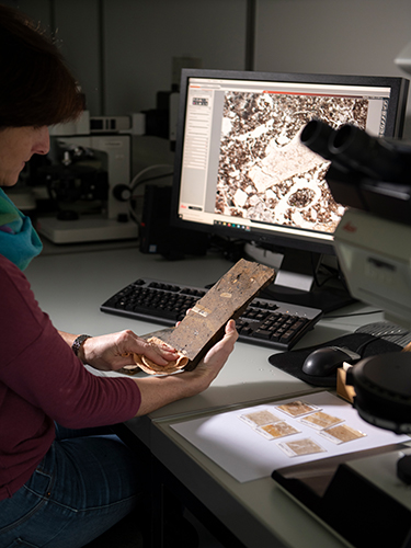 A researcher examines thin sections of the impregnated block samples