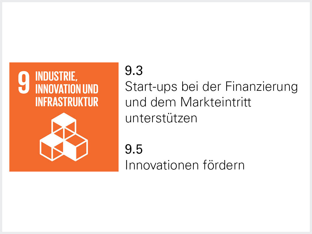 Sustainable Development Goal 9.3 und 9.5 Sustainable Development Goal 9.3 und 9.5