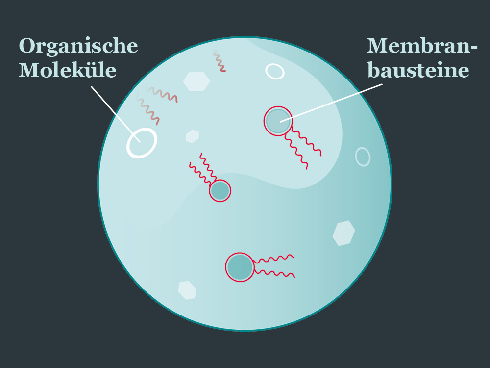 Illustration freischwimmender organischer Moleküle und Membranbausteine