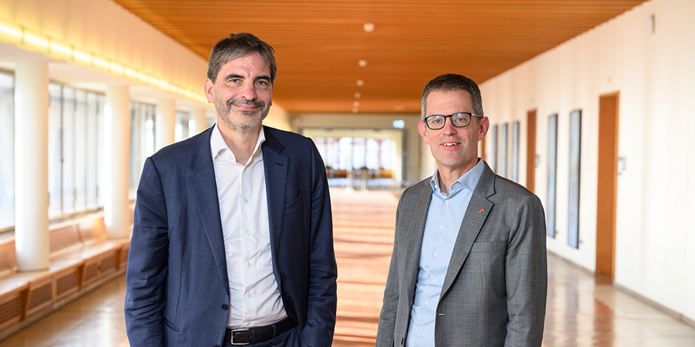 New University Council begins its work – promotions and professorships approved