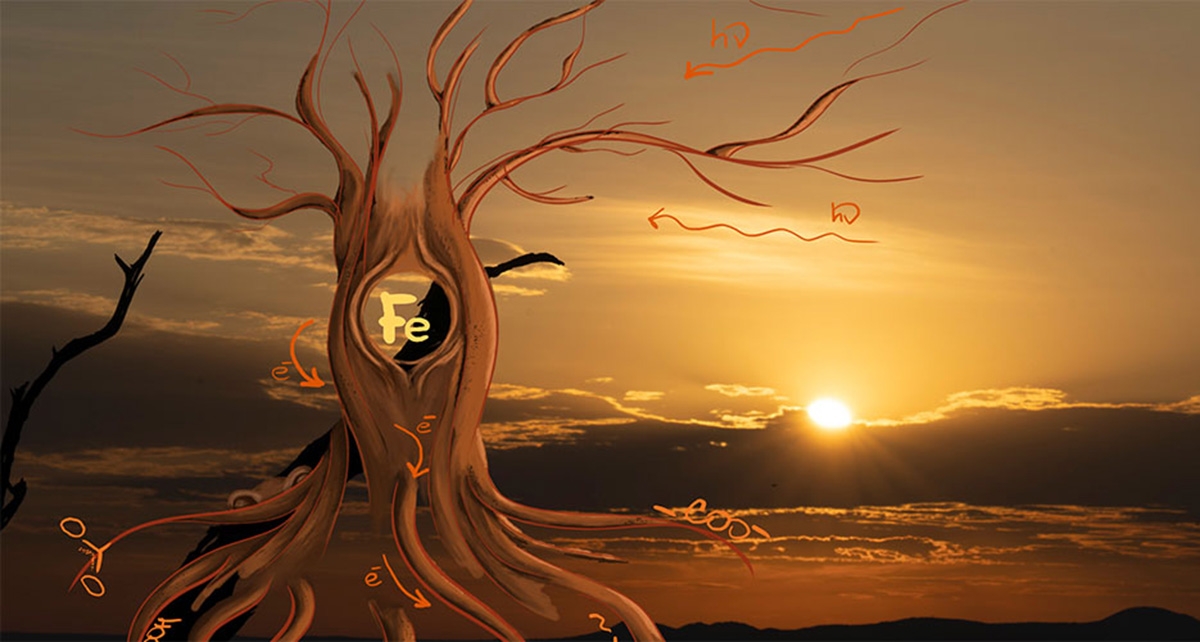 Illustration eines Baums im Sonnenlicht, dessen Äste die Sonnenstrahlen einfangen und über Wurzeln aus Carbonsäuregruppen zum Boden leitet.