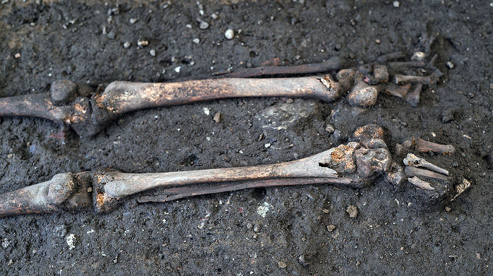Freigelegter Unterschenkel mit Fussknochen: Auch die kleinsten Knochen sind erhalten geblieben. (Foto: Universität Basel, Roland Schmid)
