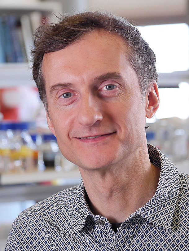 Prof. Dr. Alexander F. Schier Prof. Dr. Alexander F. Schier