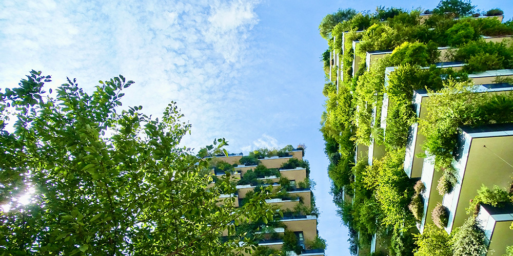 «Nachhaltigkeit muss im Immobilienbereich selbstverständlich werden»