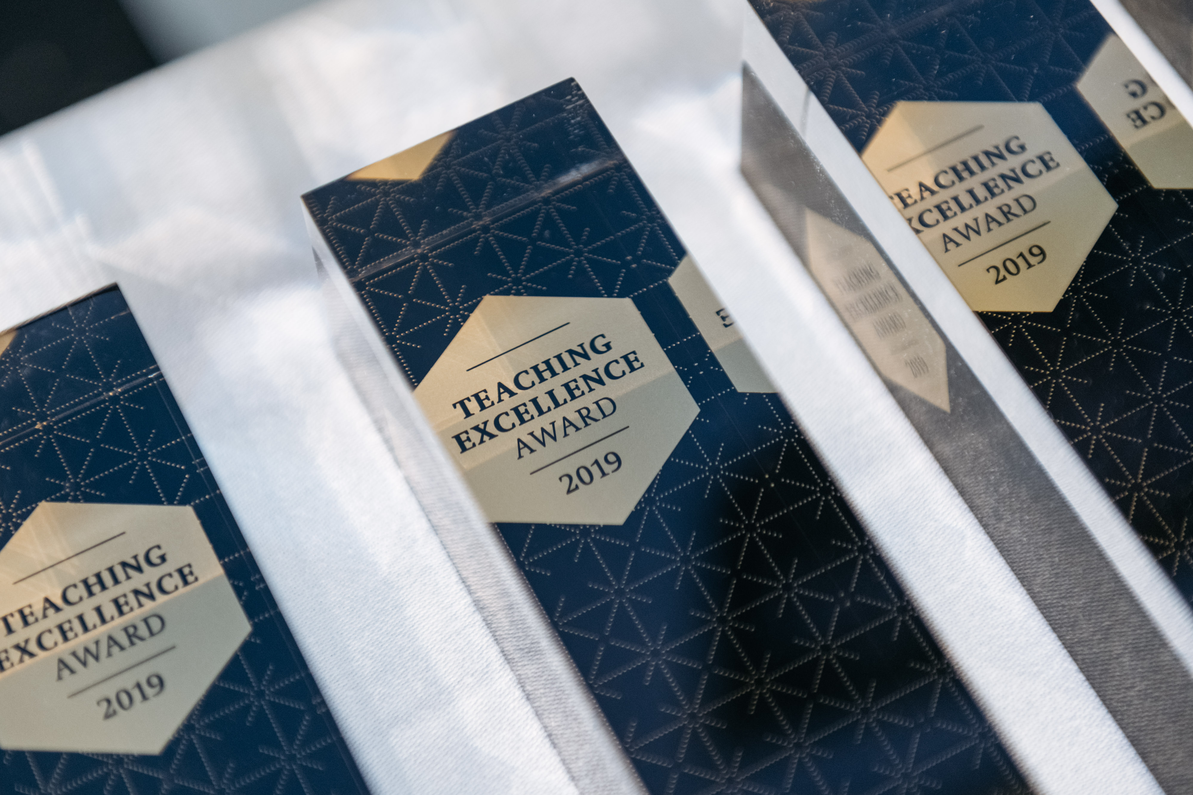 Teaching Excellence Award 2019