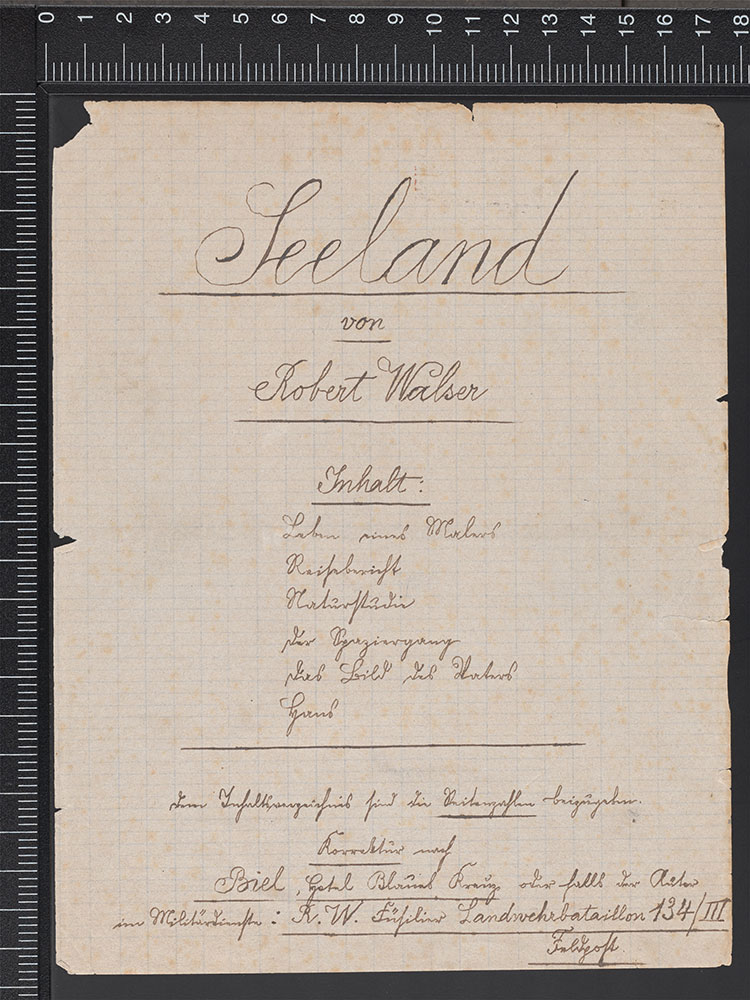 Bild einer handgeschriebenen Titelseite der Sammlung «Seeland» von Robert Walser.