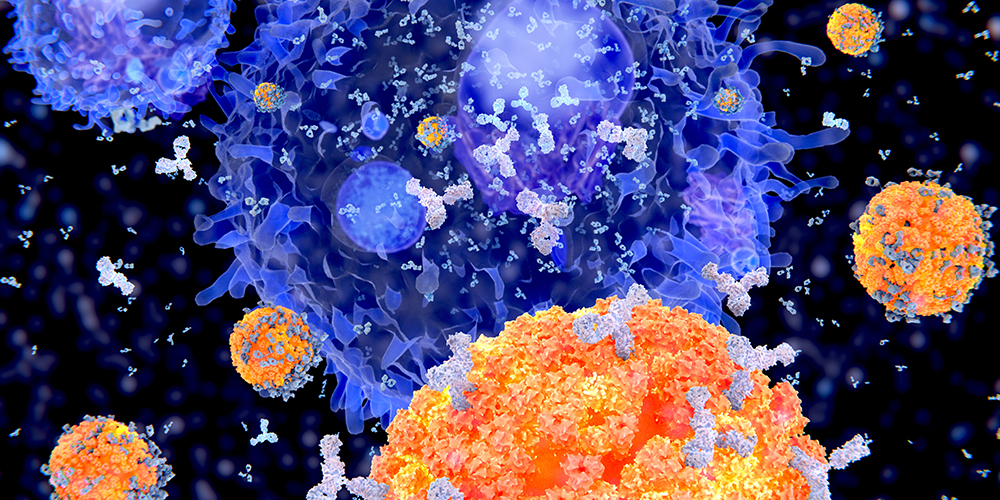 Illustration of B cells with viruses