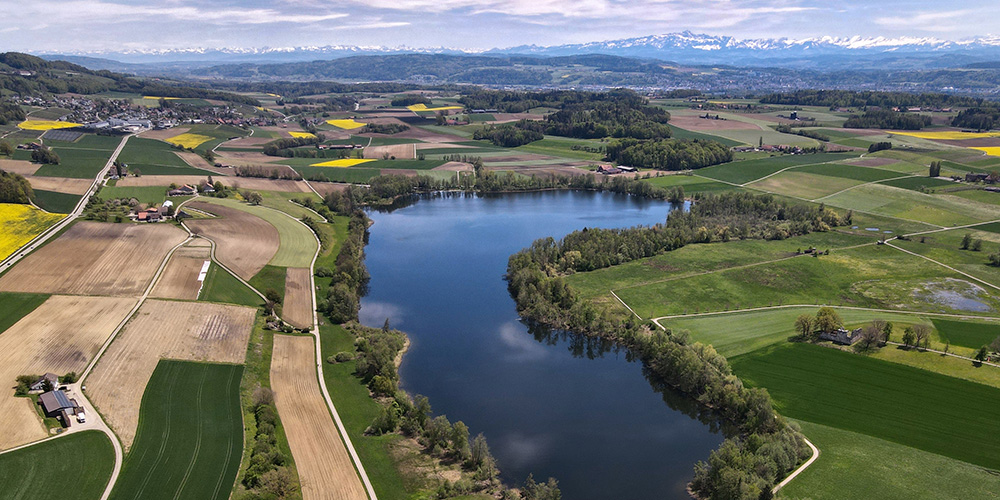 Human activity has not always harmed biodiversity – quite the opposite