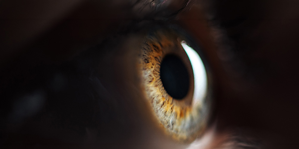 New therapy allows blind people to detect simple objects 