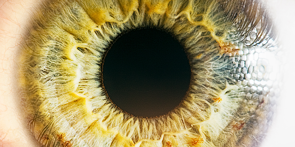 Wissen sammeln über Augenkrankheiten.