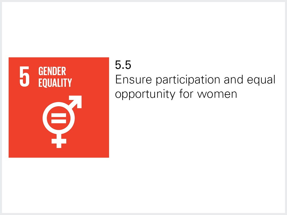 Sustainable Development Goal 5.5 Sustainable Development Goal 5.5