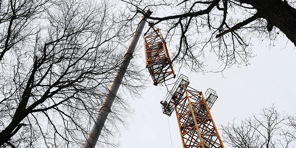 Auftakt zu einem 20 Jahre dauernden Waldexperiment: In Hölstein BL wird ein 50 Meter hoher Baukran installiert. Er erlaubt es den Wissenschaftler, in den Baumkronen wissenschaftliche Experimente durchzuführen. (Bild: Universität Basel)