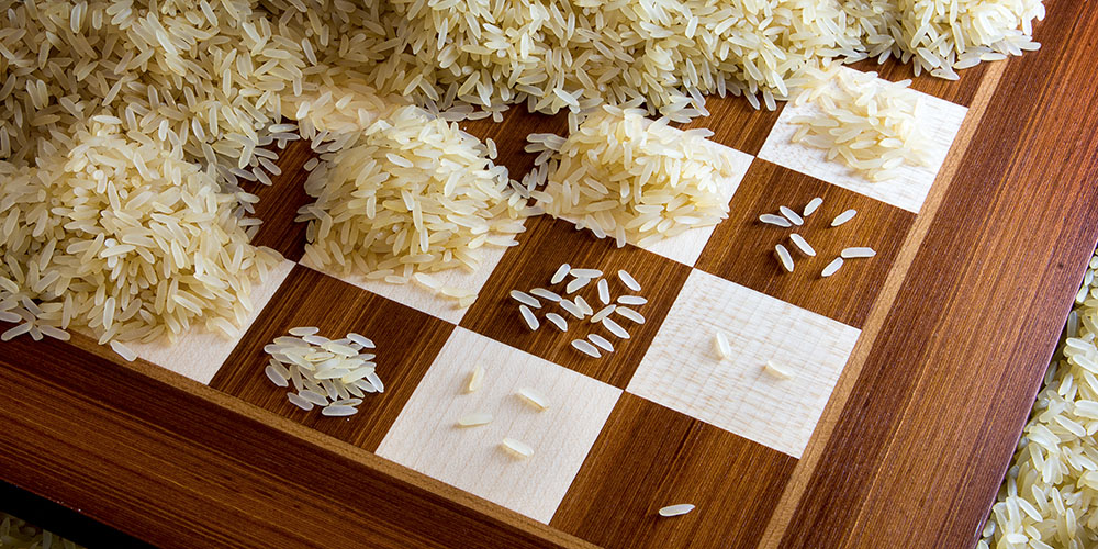 Chess board with rice on its fields