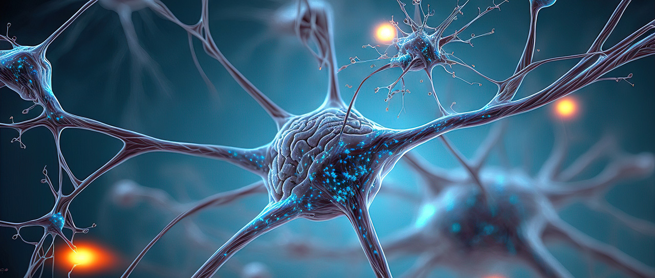 Gehirnzellen und Neuronen, 3-D-Illustration