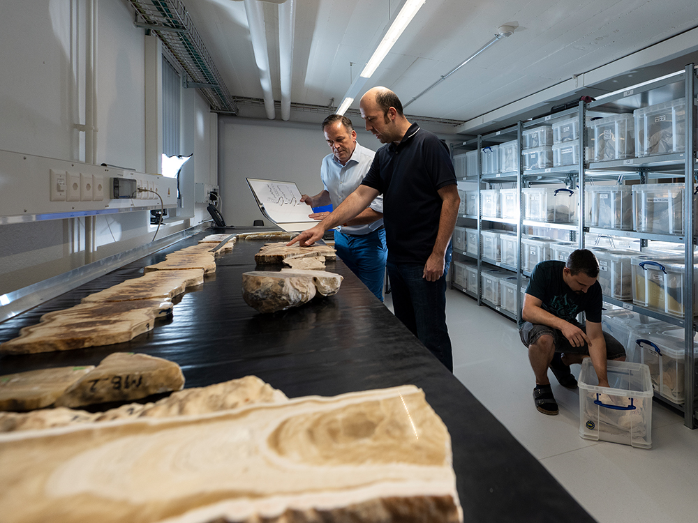 Researchers in front of a table with several stalagmite cross-sections and behind them boxes with more specimens Researchers in front of a table with several stalagmite cross-sections and behind them boxes with more specimens