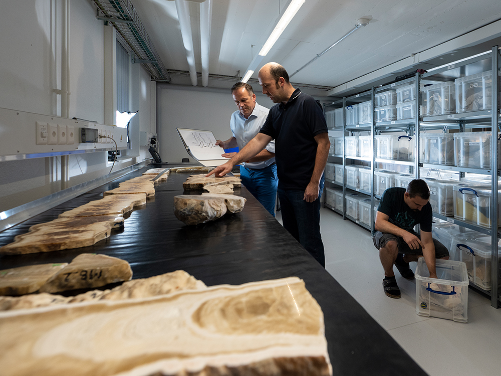 Researchers in front of a table with several stalagmite cross-sections and behind them boxes with more specimens